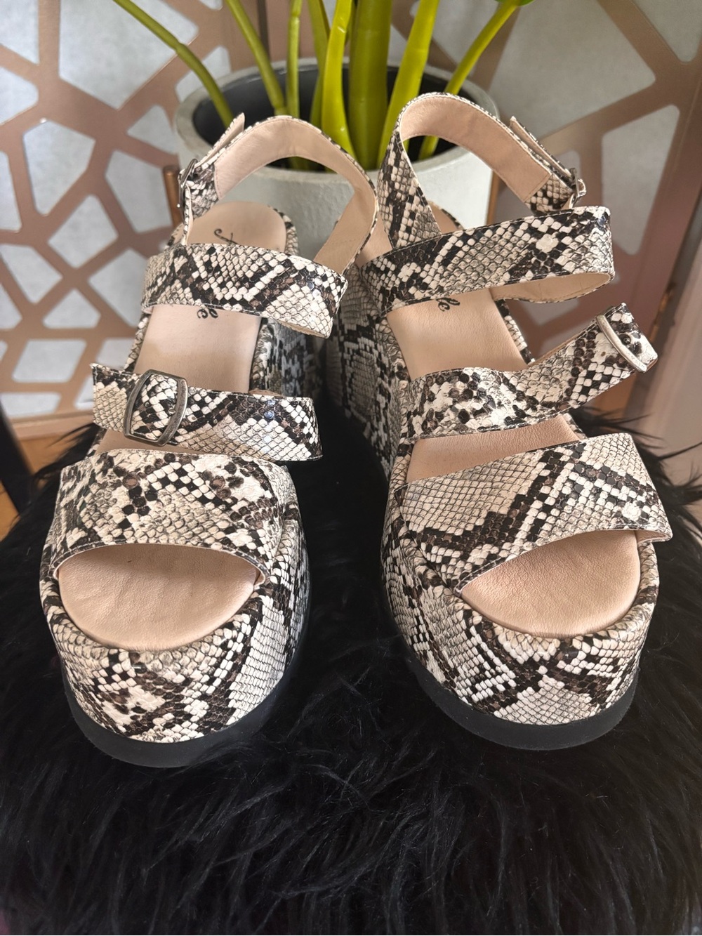 Free People Snakeskin Print Platform Sandals Size 39 Chunky Heel Ankle Strap